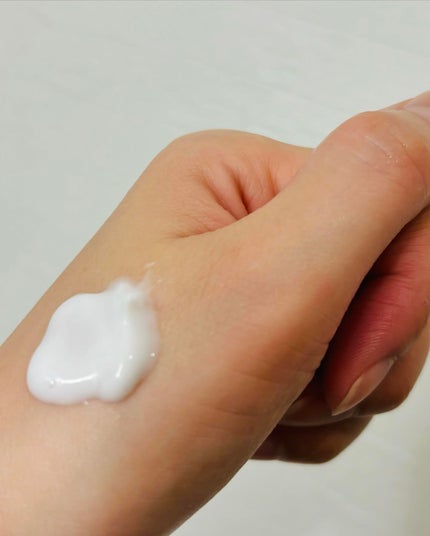 N organic Bright ホワイト リッチ クリーム/N organic/フェイスクリームを使ったクチコミ(2枚目)