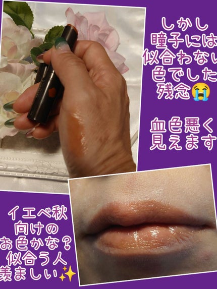 リップザカラー キャメルブラウン/リップザカラー/口紅を使ったクチコミ(3枚目)