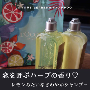 シトラスヴァーベナ アイスシャンプー／コンディショナー/L'OCCITANE/シャンプー・コンディショナーを使ったクチコミ（1枚目）