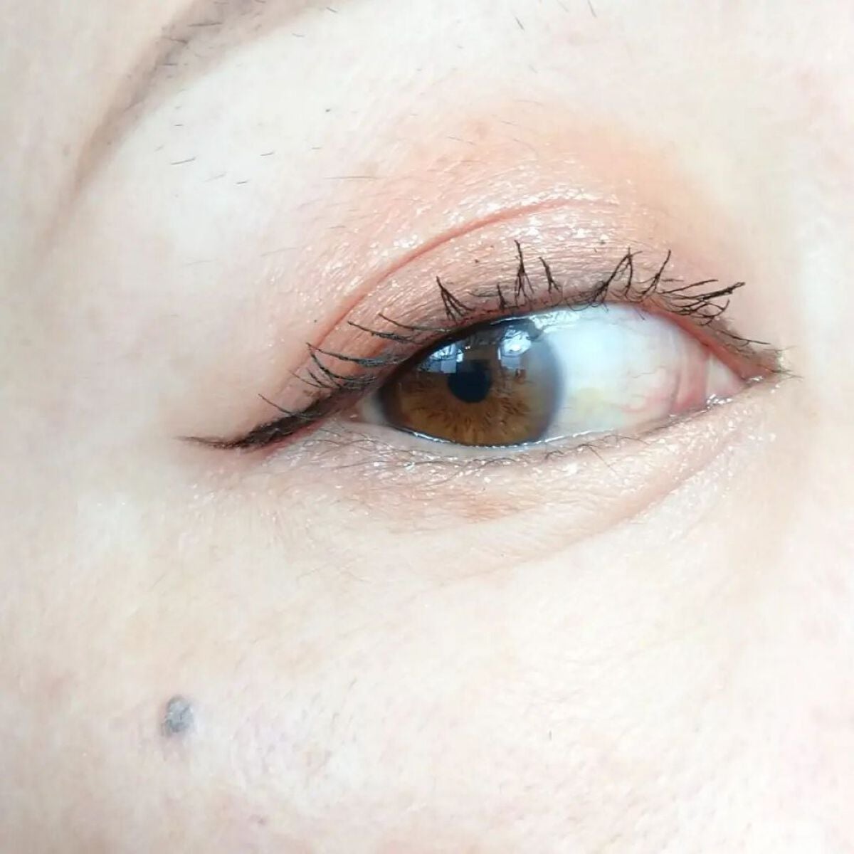 gatto lash ガットラッシュ/水橋保寿堂製薬/リキッドアイライナーを使ったクチコミ(6枚目)