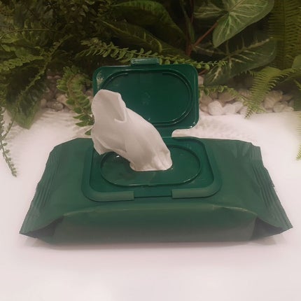 CICA マイルドクレンジングティッシュ/VT/クレンジングシートを使ったクチコミ(3枚目)