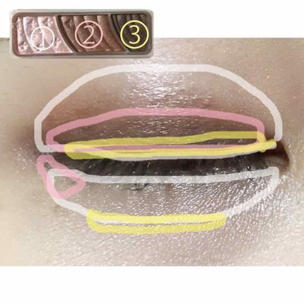 トーンアップアイシャドウ/CEZANNE/アイシャドウパレットを使ったクチコミ(3枚目)