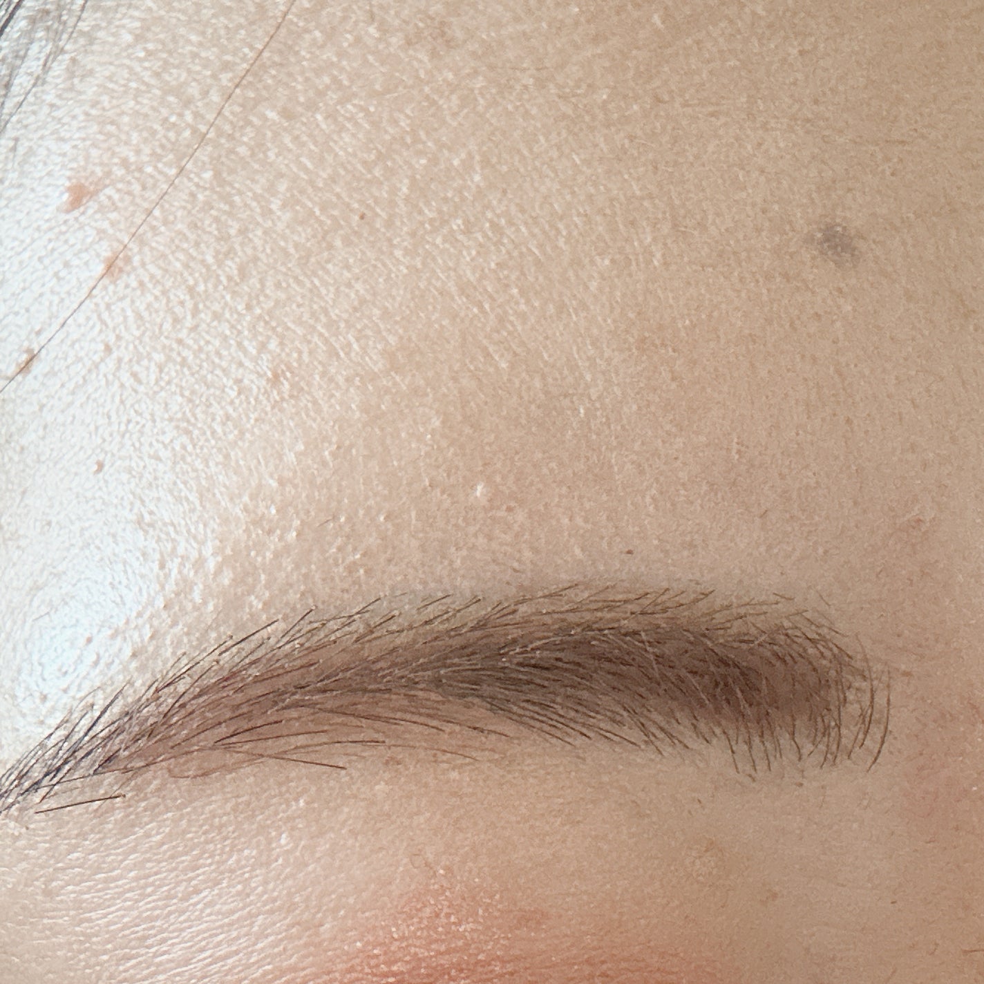 ハンオールブロウカラ/rom&nd/眉マスカラを使ったクチコミ(5枚目)