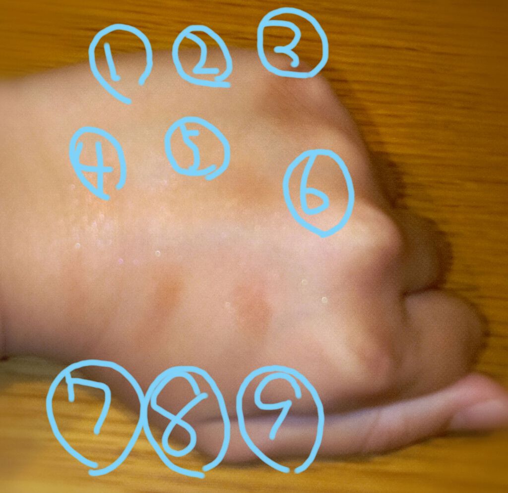 UR GLAM BLOOMING EYE COLOR PALETTE/U R GLAM/アイシャドウパレットを使ったクチコミ(2枚目)