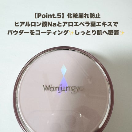ウォンジョンヨ フィクシングブラーパウダー N/Wonjungyo/ルースパウダーを使ったクチコミ(7枚目)