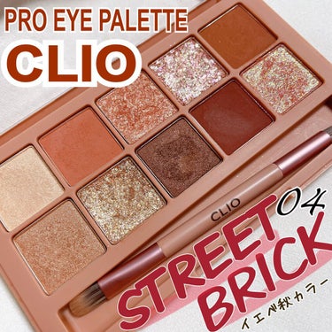 プロ アイ パレット 04 STREET BRICK/CLIO/アイシャドウパレットを使ったクチコミ（1枚目）