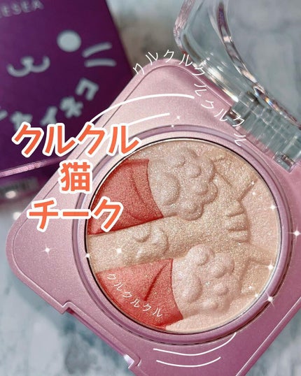 キャットハイライティングブラッシュ/ZEESEA/パウダーハイライトを使ったクチコミ(1枚目)