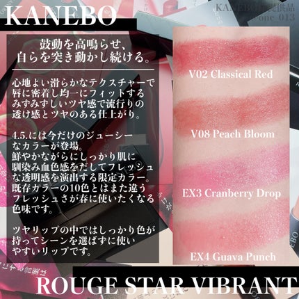 ルージュスターヴァイブラント/KANEBO/口紅を使ったクチコミ(2枚目)
