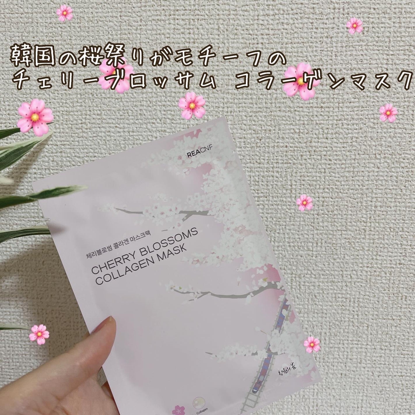 チェリーブロッサム コラーゲンマスク/REACNF/シートマスク・パックを使ったクチコミ(2枚目)