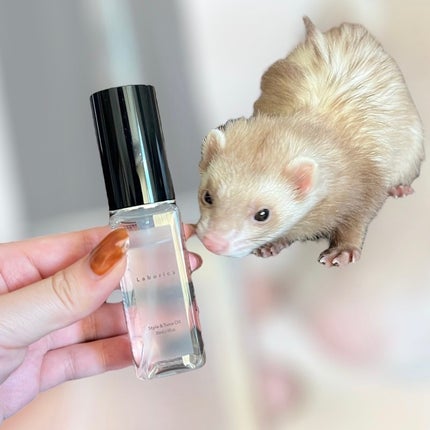 Style&Tune Oil ラボリカヘアオイル/Laborica(ラボリカ)/その他スタイリングを使ったクチコミ(7枚目)