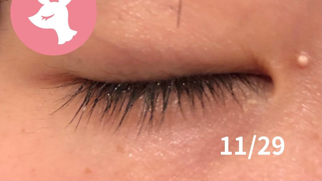 ラッシュジェリードロップ EX/MAJOLICA MAJORCA/まつげ美容液を使ったクチコミ(3枚目)