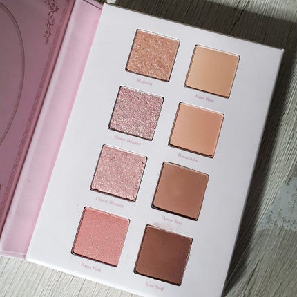 シャドウパレット/dasique/アイシャドウパレットを使ったクチコミ(2枚目)