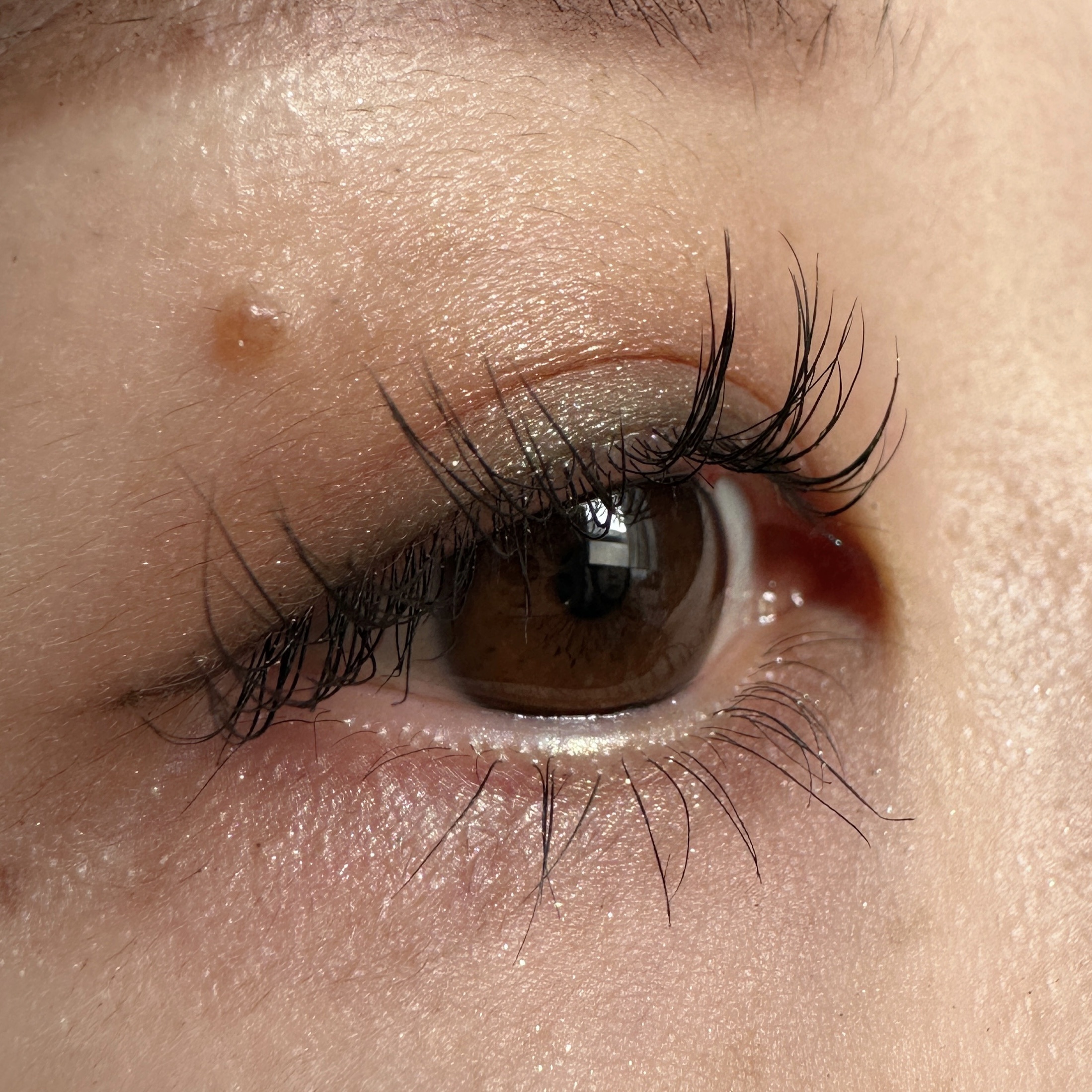 パーフェクトエクステンション マスカラ for カール/D-UP/マスカラを使ったクチコミ（2枚目）