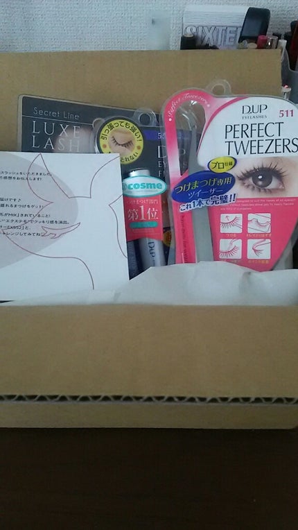 ディーアップアイラッシュ シークレットライン LUXELASH(リュクスラッシュ)/D-UP/つけまつげを使ったクチコミ(1枚目)