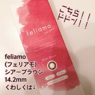 feliamo 1day シアーブラック/feliamo/ワンデー（１DAY）カラコンを使ったクチコミ（2枚目）