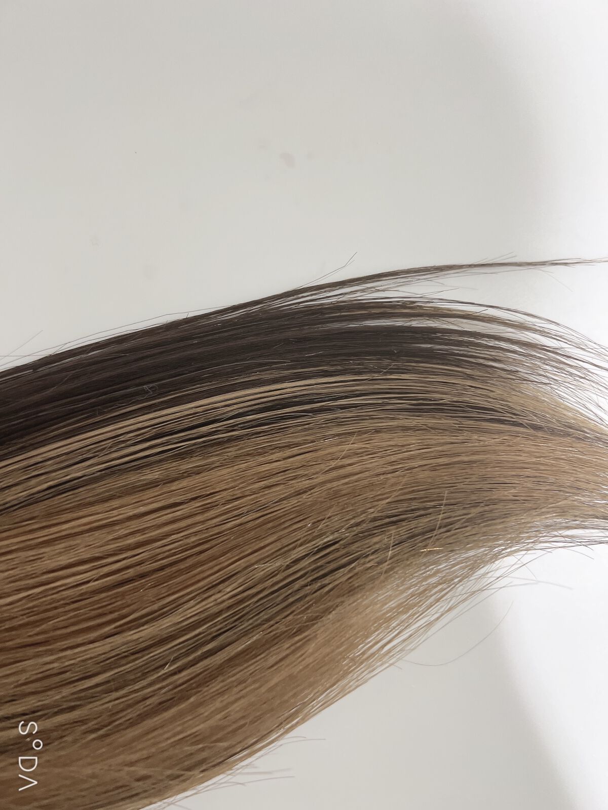 アルガネーゼ美容液ヘアオイル