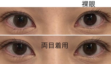 perse perse 1dayのクチコミ「perse
テディブラウン

DIA 14.2mm
着色直径　13.0mm(体感12.8-12.....」（3枚目）