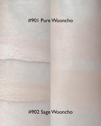 ブラーフィニッシュ雲楚クッション/Dinto/クッションファンデーションを使ったクチコミ(9枚目)