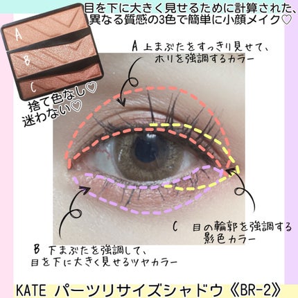 パーツリサイズシャドウ/KATE/アイシャドウパレットを使ったクチコミ(4枚目)