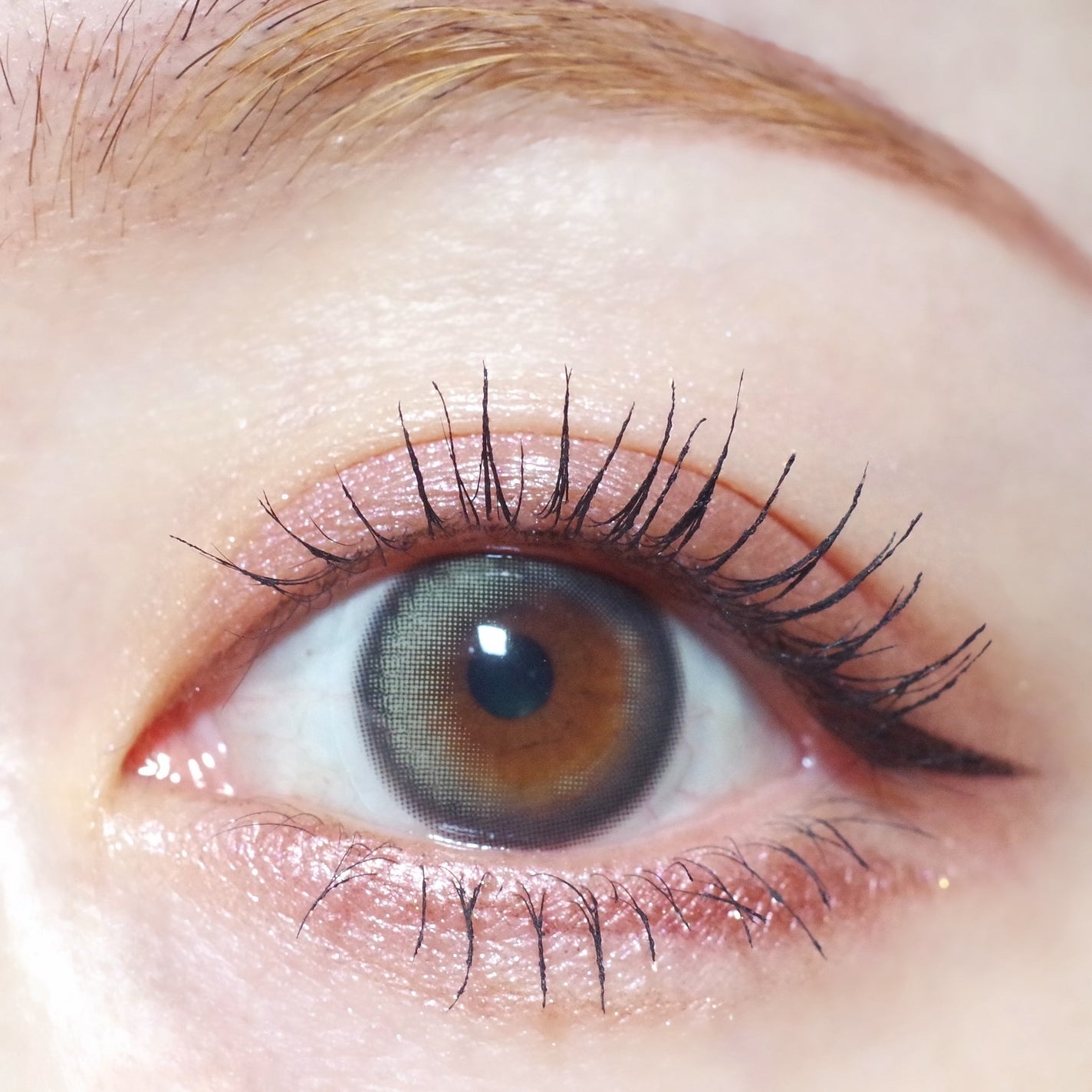 マイキティアイパレット/MilleFée/アイシャドウパレットを使ったクチコミ(4枚目)