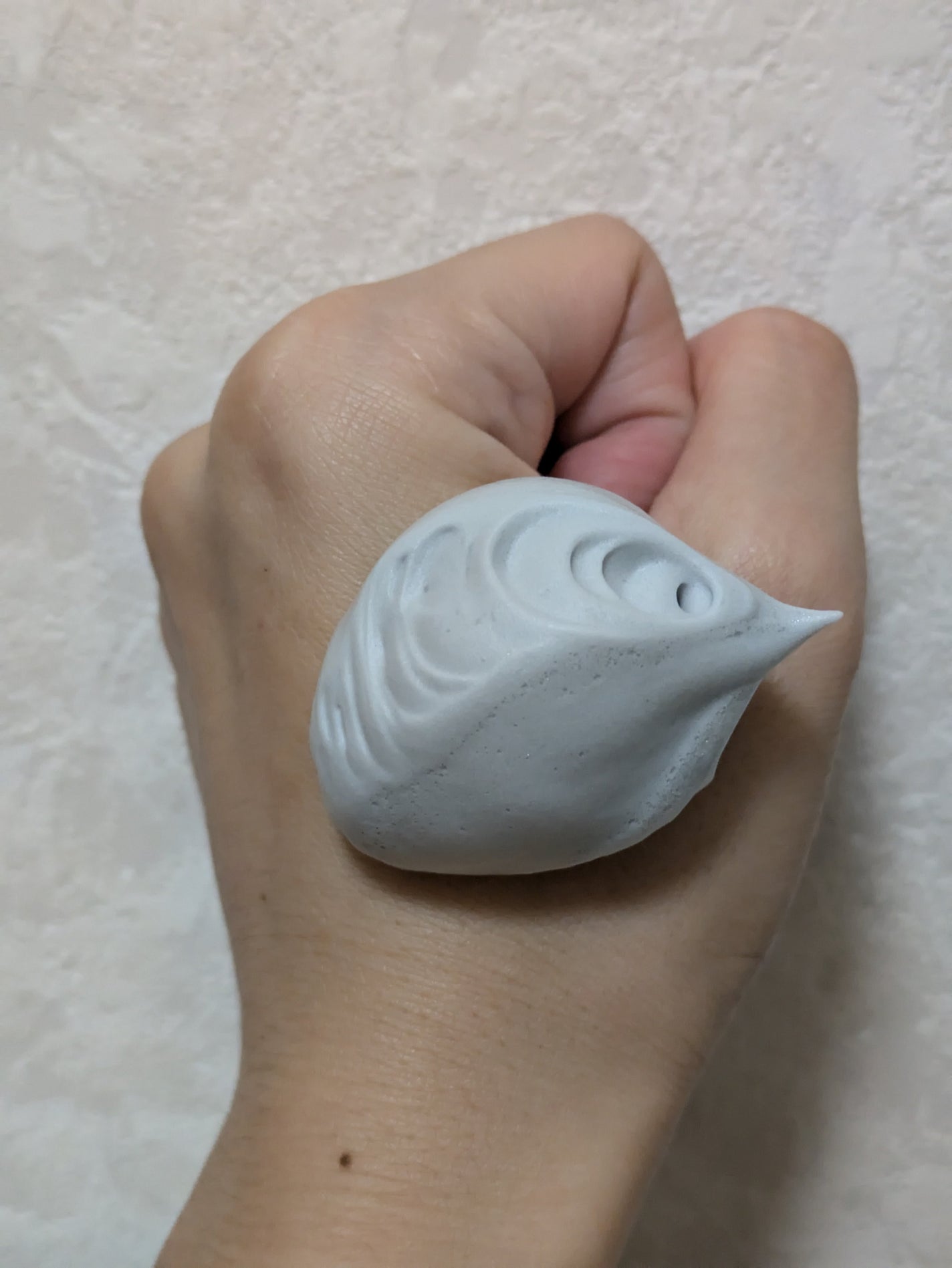 SHIRORU クリスタルホイップ ブラック/SHIRORU/泡洗顔を使ったクチコミ(5枚目)