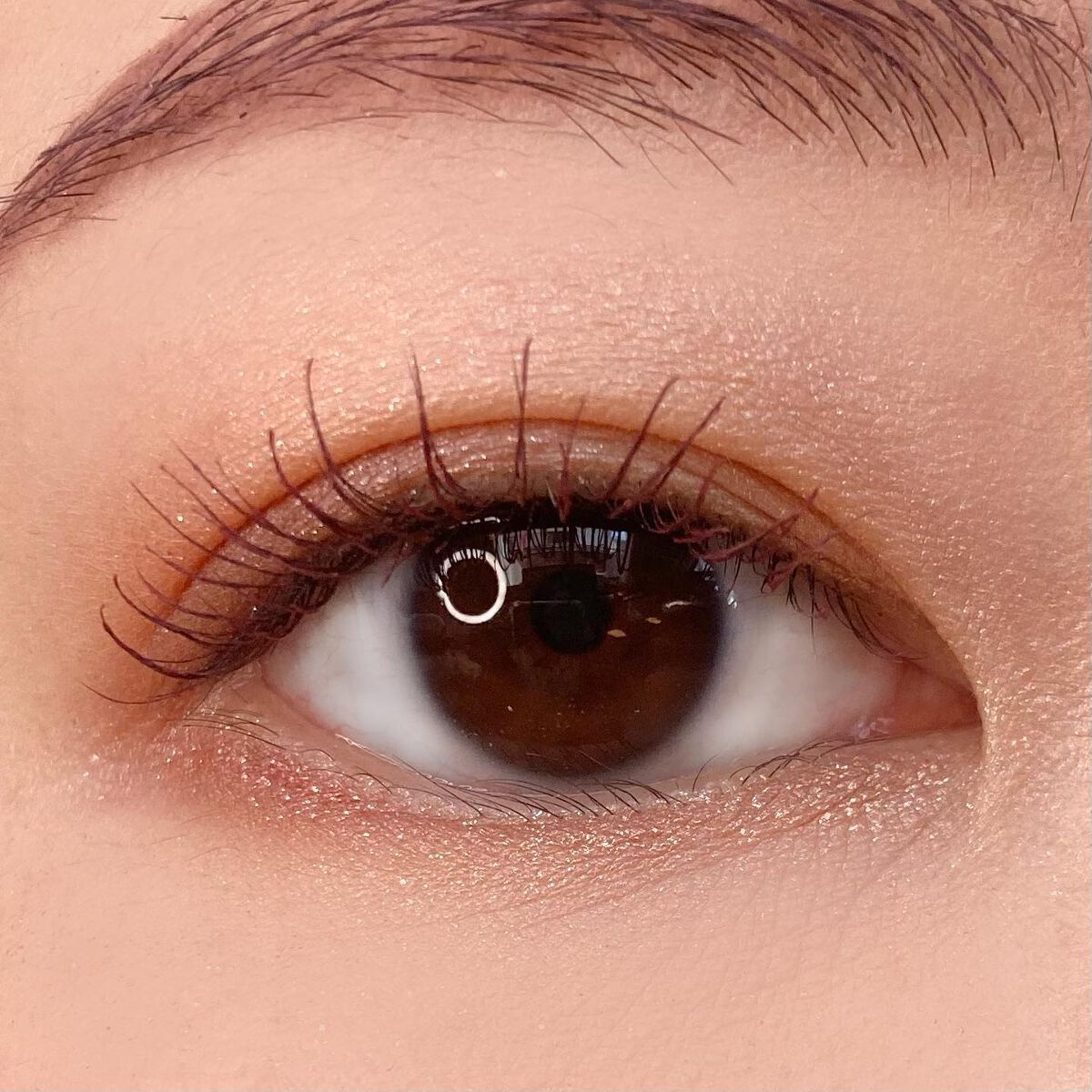 タルトレット E アマゾニアンクレイ パレット/tarte/アイシャドウパレットを使ったクチコミ(4枚目)