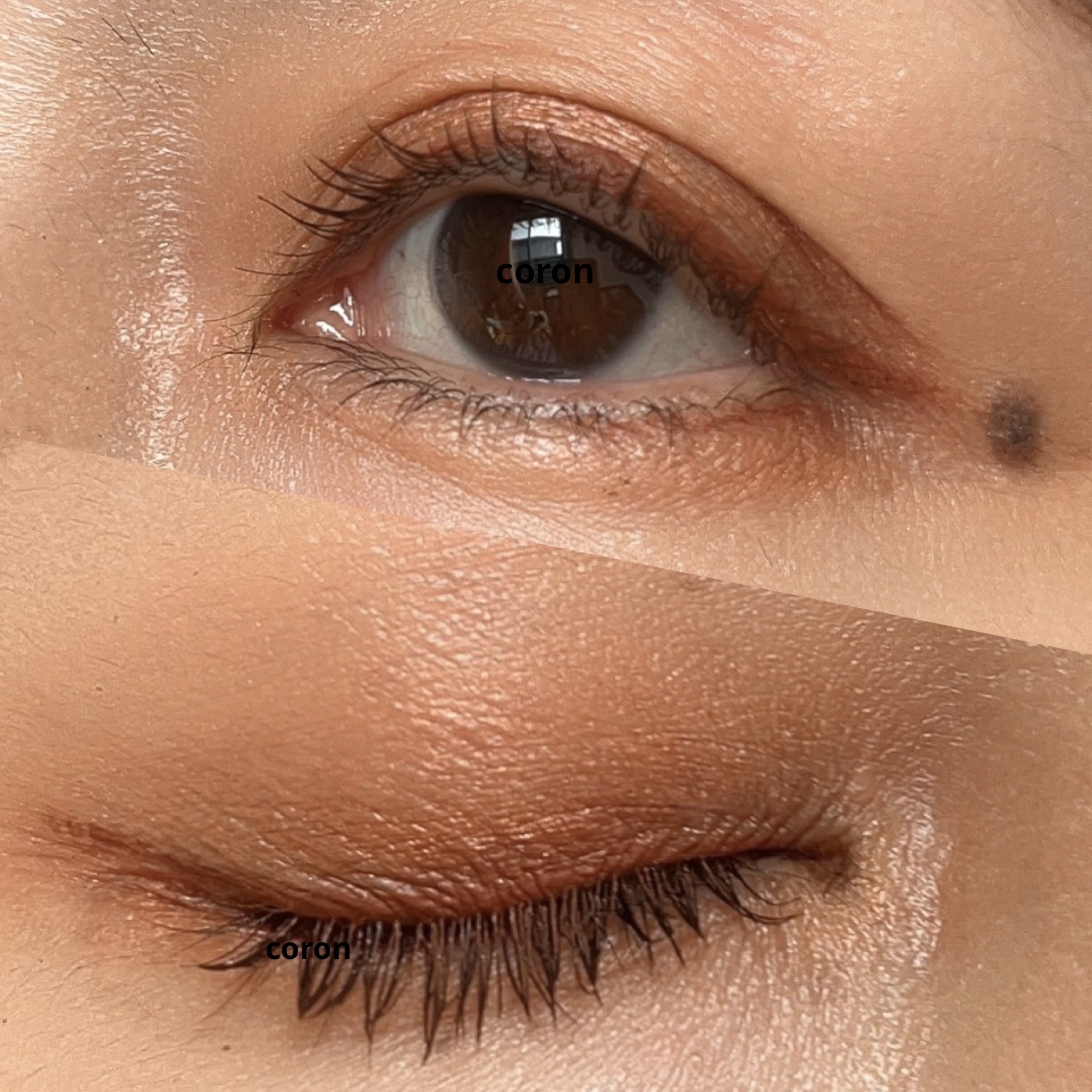 オンブル プルミエール リーブル/CHANEL/単色アイシャドウを使ったクチコミ（2枚目）