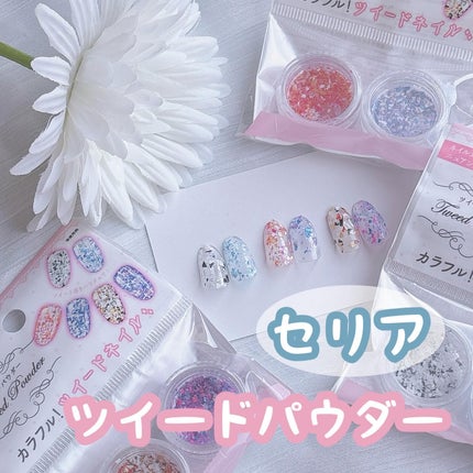 ツイードパウダー 2P/ブラザーズ株式会社/ネイルチップ・パーツを使ったクチコミ(1枚目)