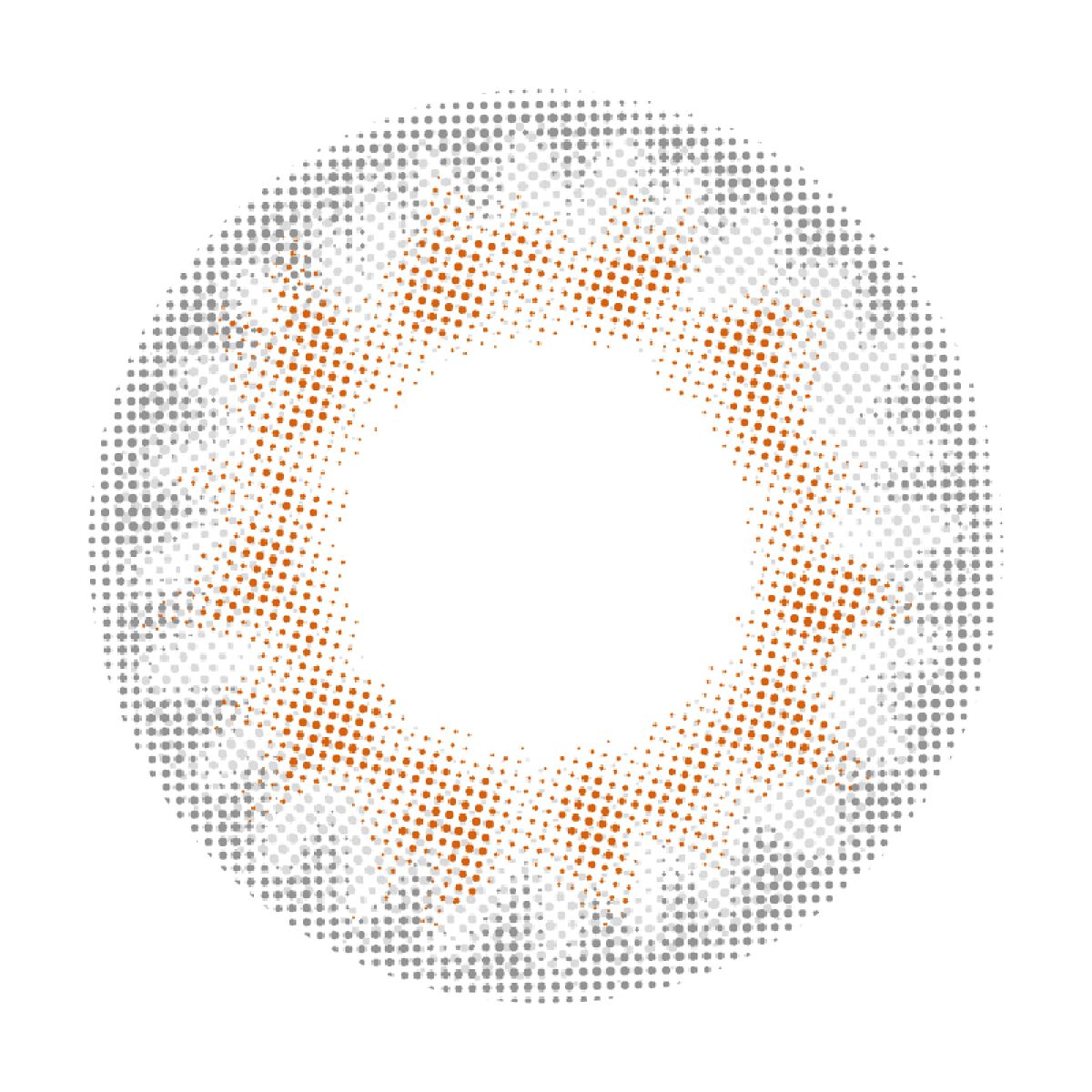 チャンス ワンデー レヴェリスノウ