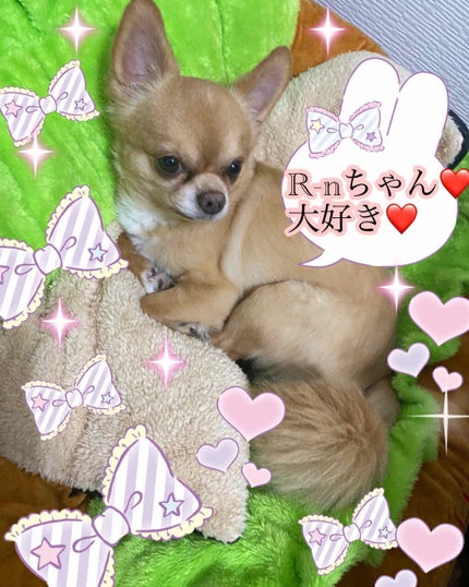 フェミニンウォッシュ シャワースプラッシュ/PH JAPAN(ピイ・エイチ・ジャパン) /デリケートゾーンケアを使ったクチコミ(3枚目)