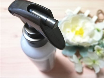 ハイドロミストN/plus eau/アウトバストリートメントを使ったクチコミ(3枚目)