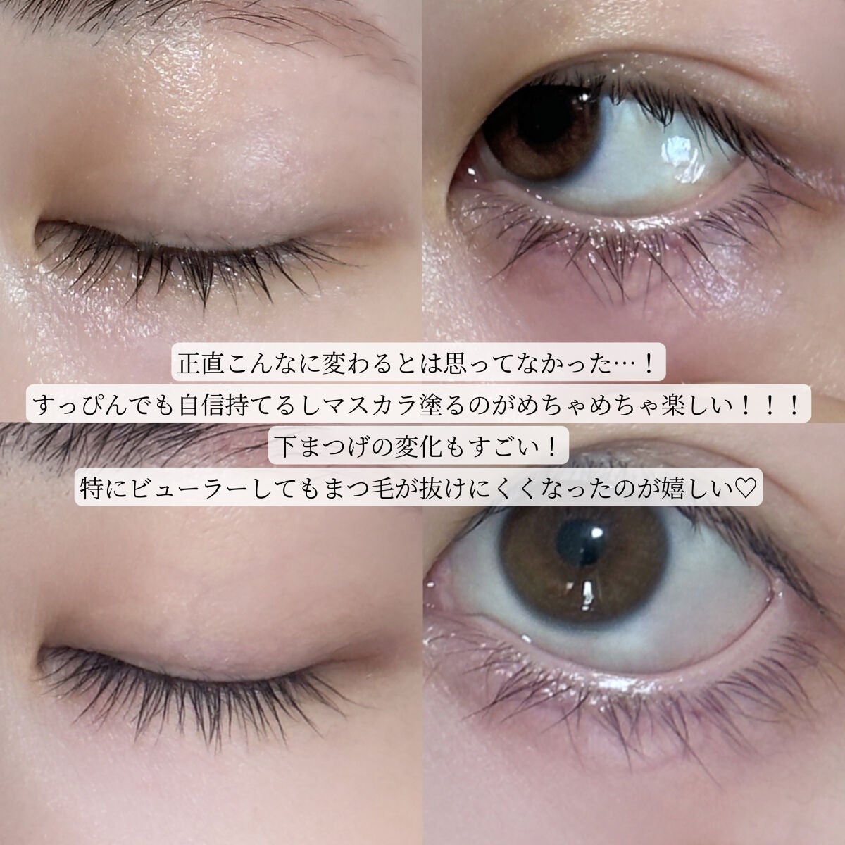 ディアモイストアイラッシュ/さくらの森/まつげ美容液を使ったクチコミ(3枚目)