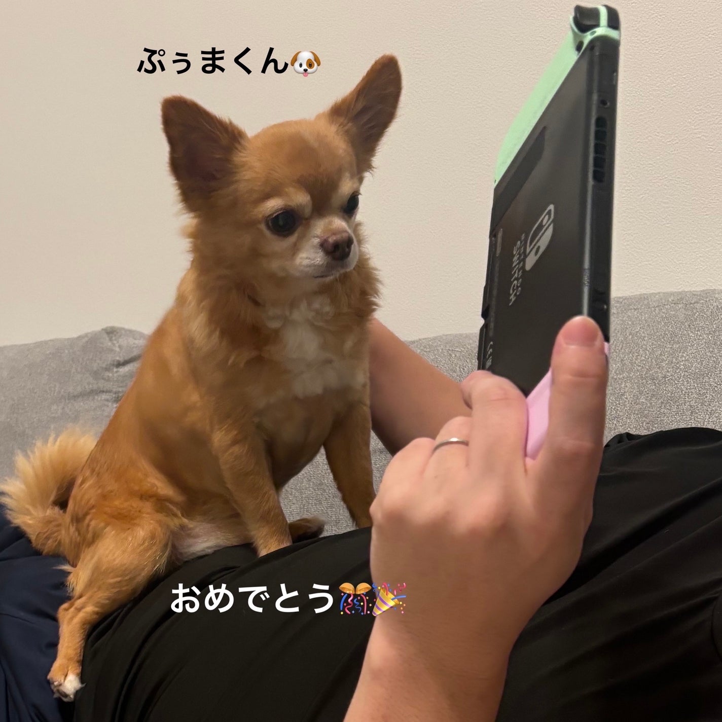 カラフルネイルズ/キャンメイク/マニキュアを使ったクチコミ(6枚目)