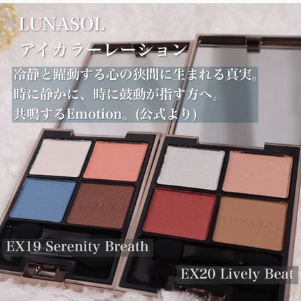アイカラーレーション/LUNASOL/アイシャドウパレットを使ったクチコミ(2枚目)