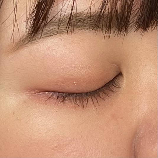 エクスプローラ12色 動物アイシャドウパレット/PERFECT DIARY/アイシャドウパレットを使ったクチコミ（3枚目）