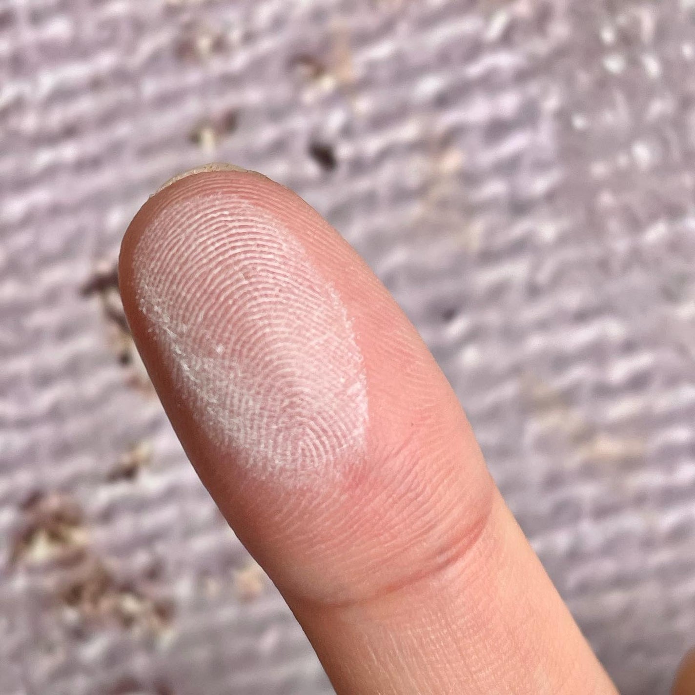 ブラーフィニッシュ雲楚クッション/Dinto/クッションファンデーションを使ったクチコミ(9枚目)