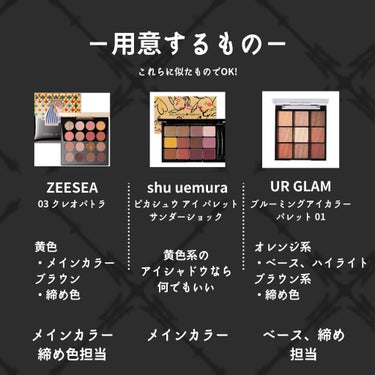 ピカシュウ アイ パレット‐サンダーショック/shu uemura/アイシャドウパレットを使ったクチコミ（2枚目）