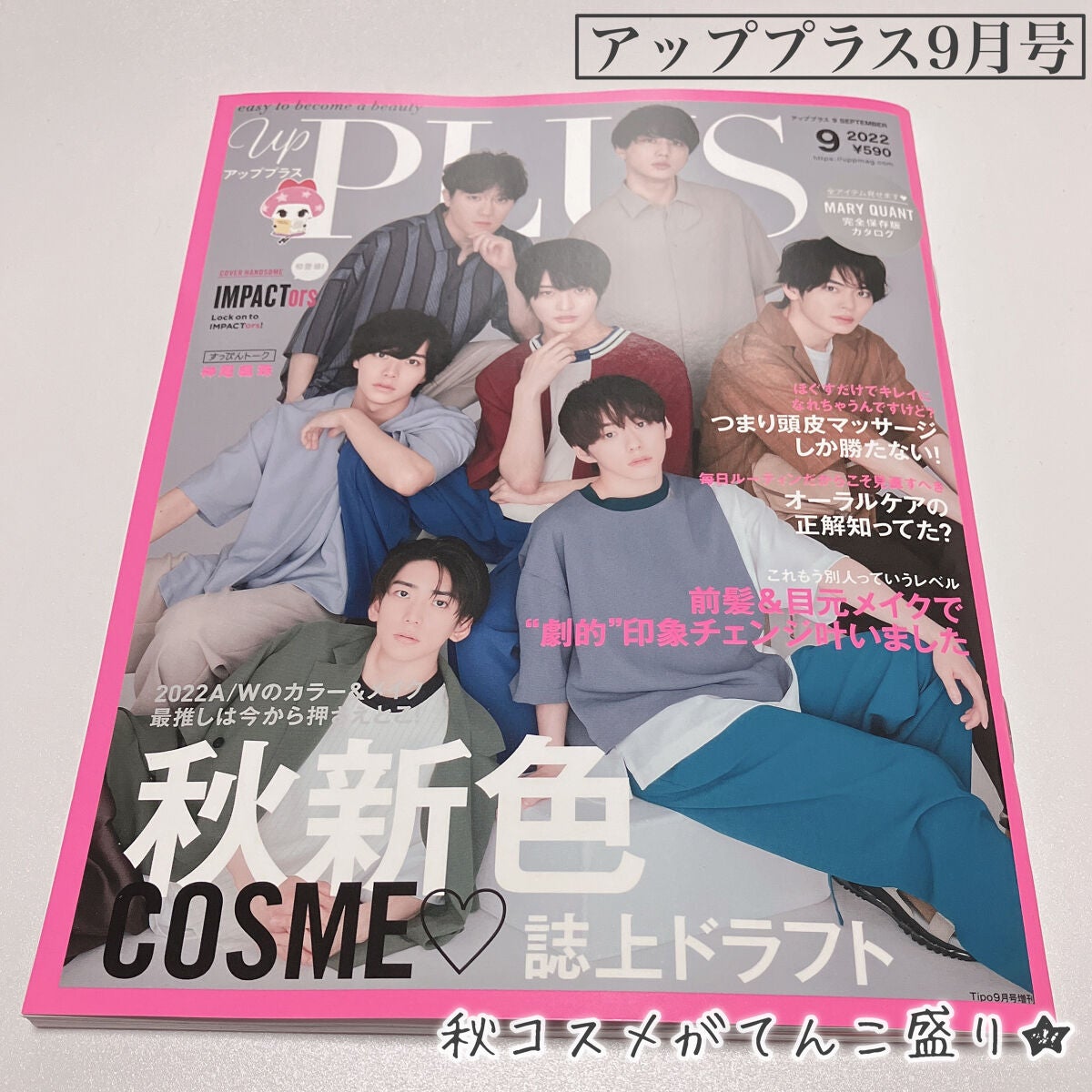 ビューティー定期便/bea’s up beauty book (ビーズアップ ビューティブック)/その他キットセットを使ったクチコミ(6枚目)