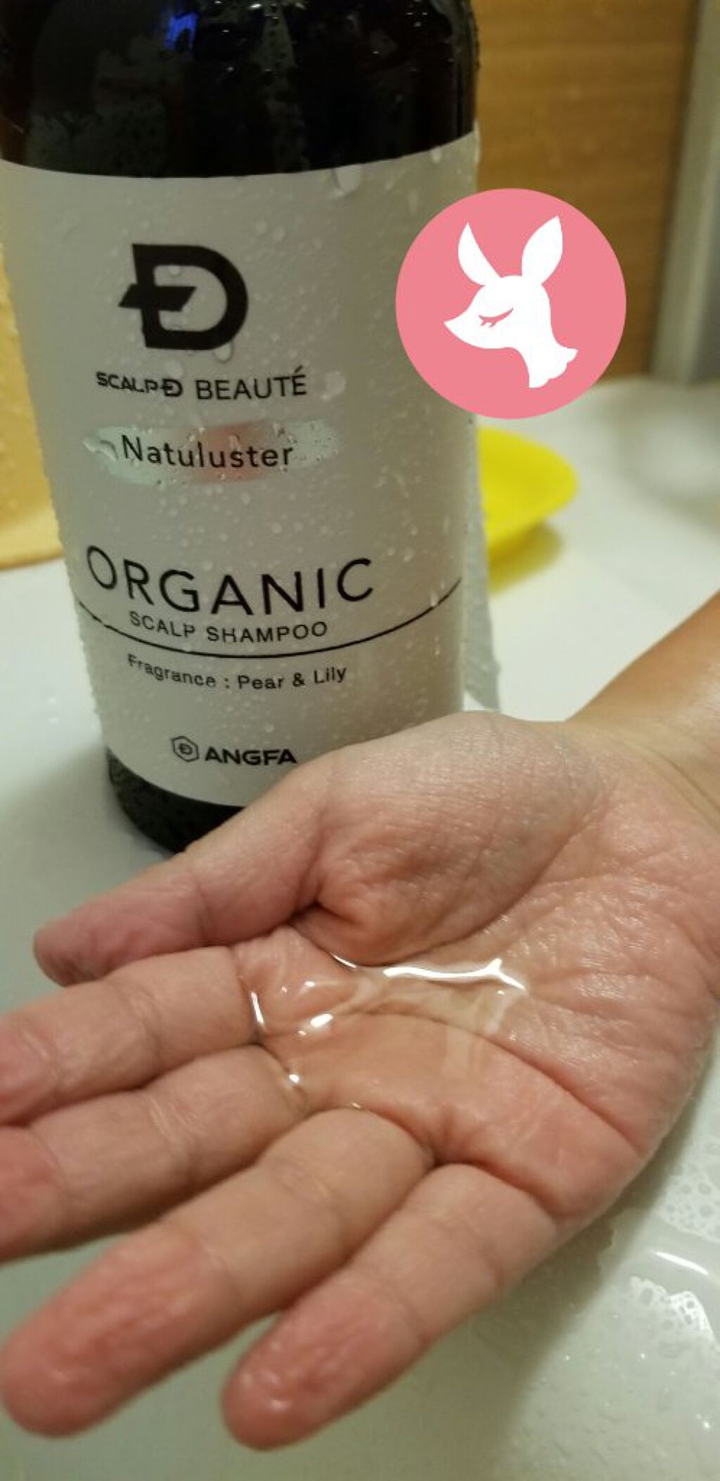 ã¹ã«ã«ãD ããŒã ããã¥ã©ã¹ã¿ãŒ ã¹ã«ã«ãã·ã£ã³ããŒïŒããªãŒãã¡ã³ãããã¯/ã¢ã³ãã¡ãŒ(ã¹ã«ã«ãD)/ã·ã£ã³ããŒã»ã³ã³ãã£ã·ã§ããŒã䜿ã£ãã¯ãã³ãïŒ2æç®ïŒ