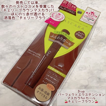 パーフェクトエクステンション マスカラ for カール/D-UP/マスカラを使ったクチコミ(2枚目)