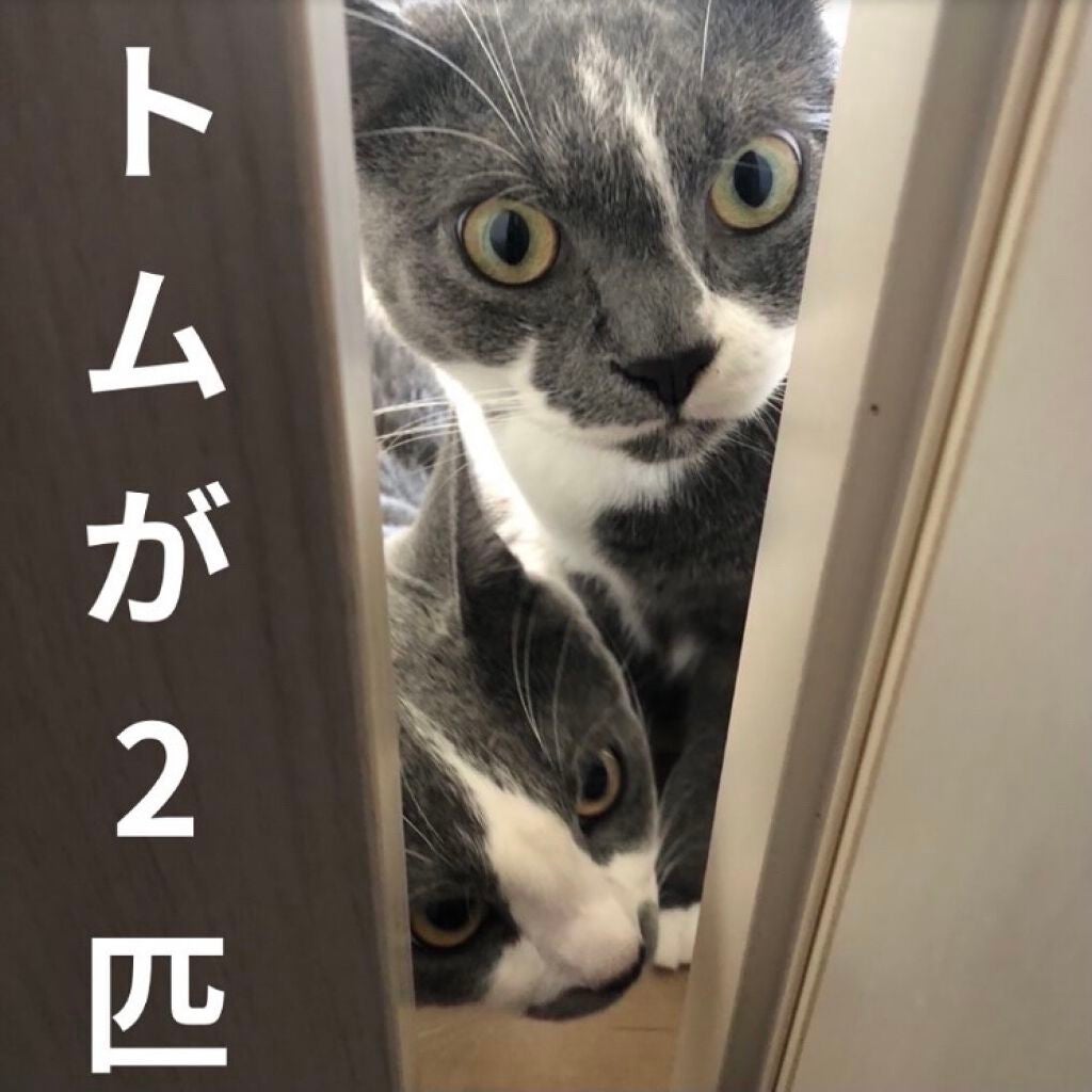 レブロン キス シュガー スクラブ/REVLON/リップスクラブを使ったクチコミ(4枚目)