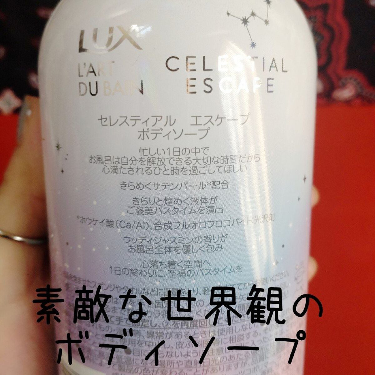 ã»ã¬ã¹ãã£ã¢ã«ãšã¹ã±ãŒã ããã£ãœãŒã /LUX/ããã£ãœãŒãã䜿ã£ãã¯ãã³ãïŒ3æç®ïŒ