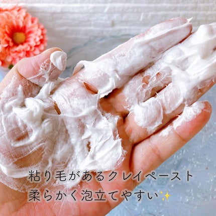 WASHING MASK No.101/SKIN FORESTA FACTORY/洗顔フォームを使ったクチコミ(3枚目)