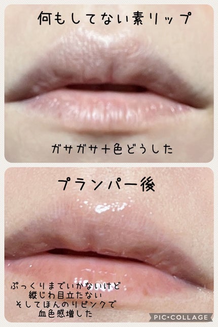 エッセンス リッププランパー/Visée/リッププランパーを使ったクチコミ(4枚目)