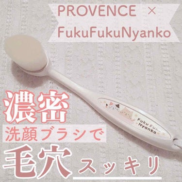 リッチホイップブラシ コンパクトヘッド/PROVENCE/その他スキンケアグッズを使ったクチコミ（1枚目）