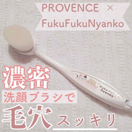 リッチホイップブラシ コンパクトヘッド/PROVENCE/その他スキンケアグッズを使ったクチコミ(1枚目)