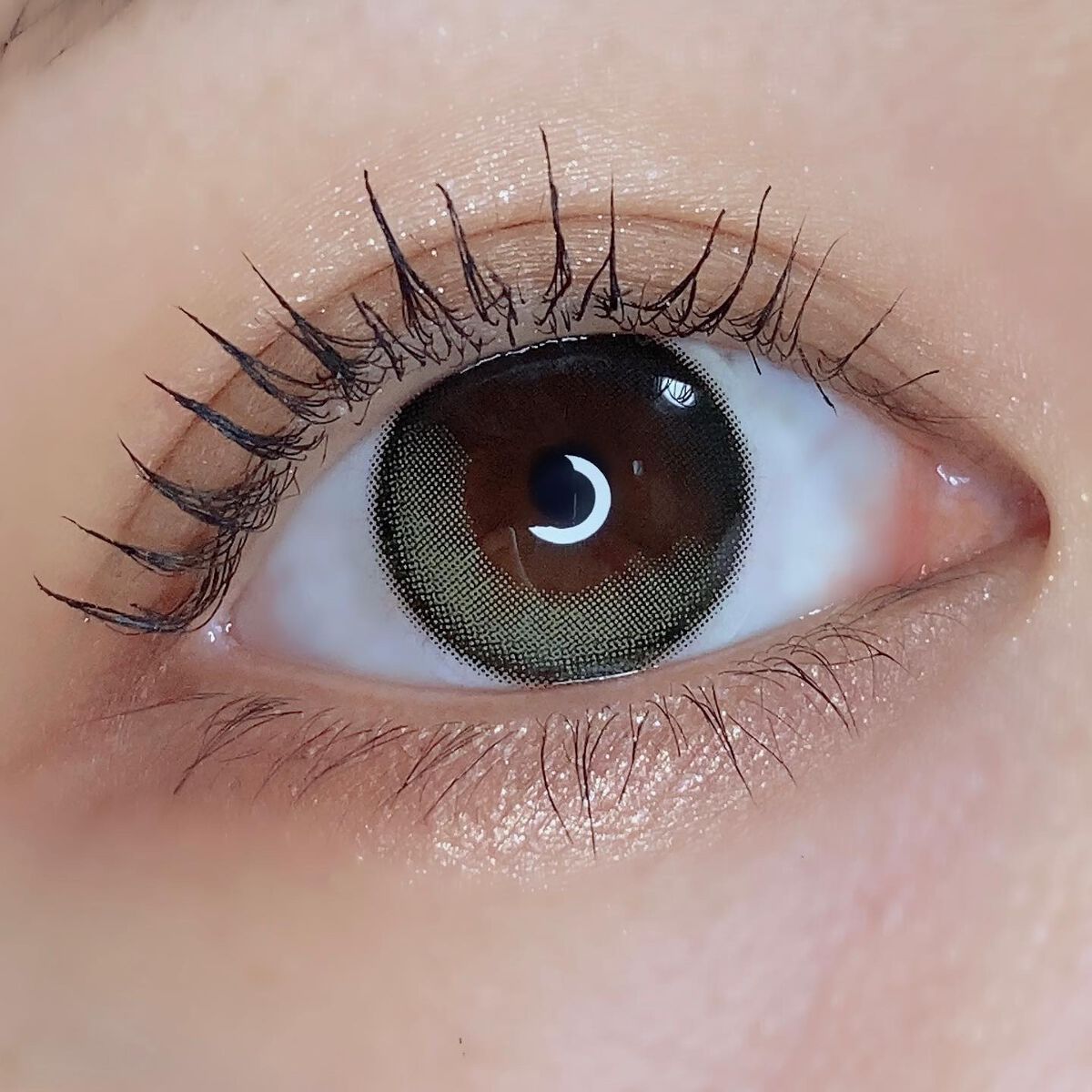 Secretive Kristen 1day オリーブ/Hapa kristin/ワンデー（１DAY）カラコンを使ったクチコミ（3枚目）