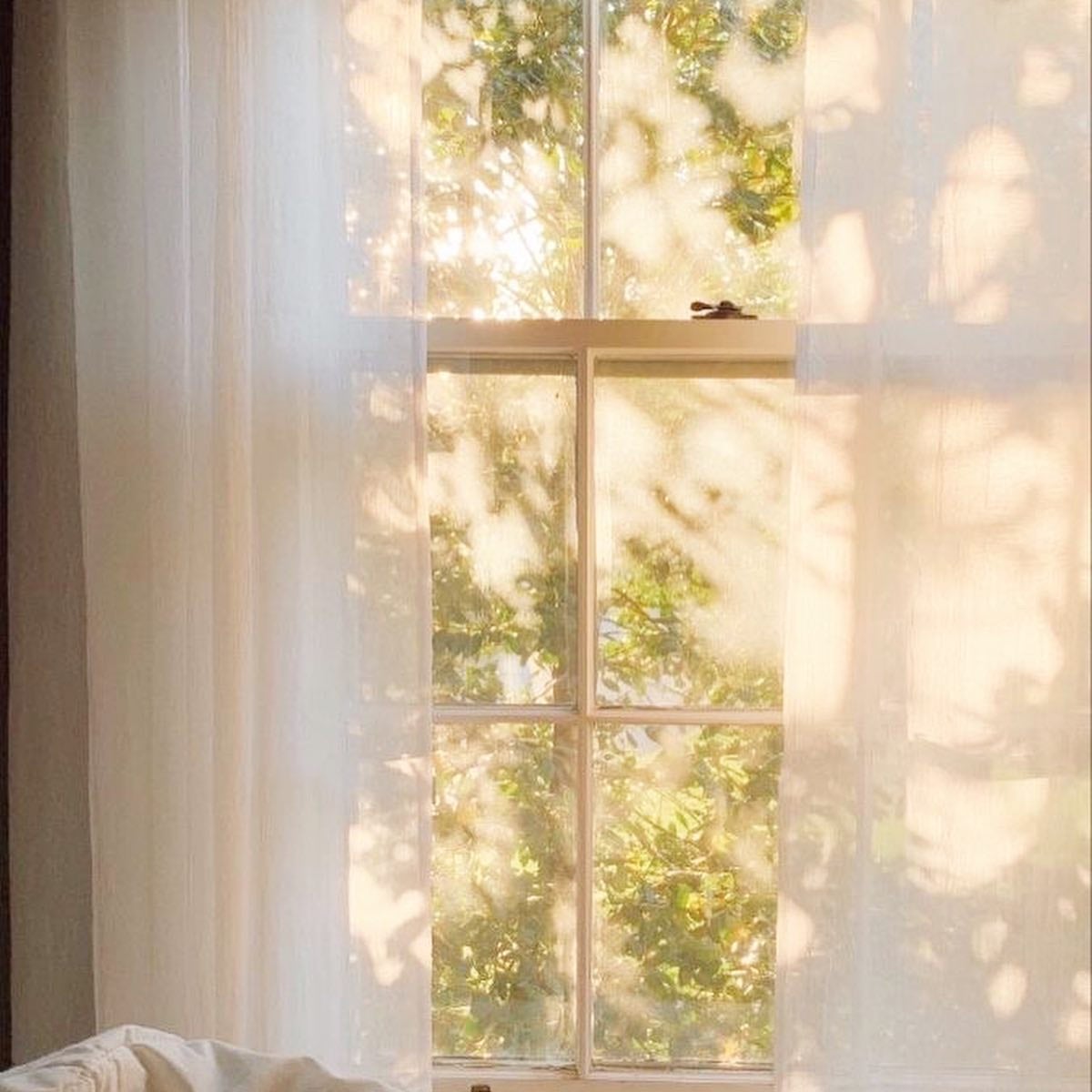 イロハ インティメートシート/iroha INTIMATE CARE/デリケートゾーンケアを使ったクチコミ(5枚目)