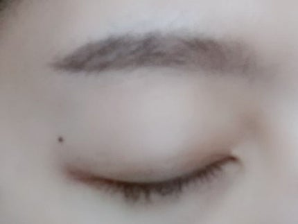 W ブロウEX N/サナ ニューボーン/パウダーアイブロウを使ったクチコミ(2枚目)