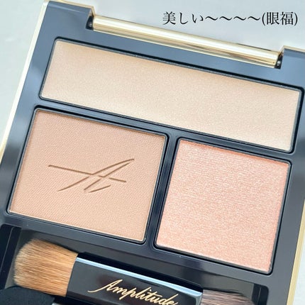 コンスピキュアス アイズ/Amplitude/アイシャドウパレットを使ったクチコミ(2枚目)